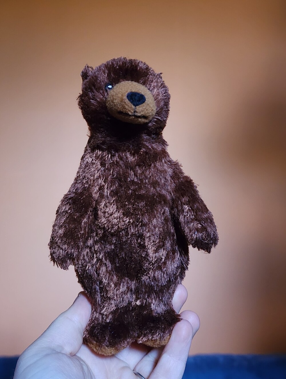 2001 We're Going on a Bear Hunt Plush - Story from 1989